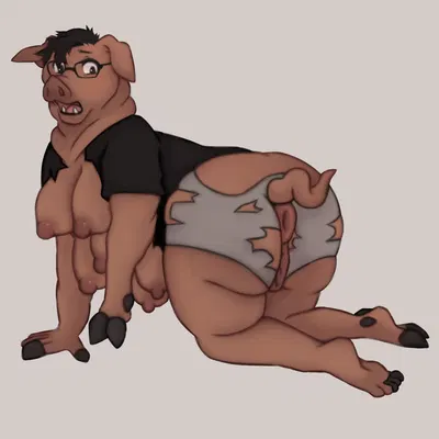 created by trailofanimals