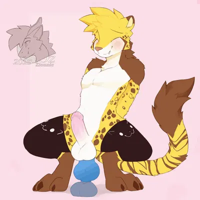 created by zionnicoz