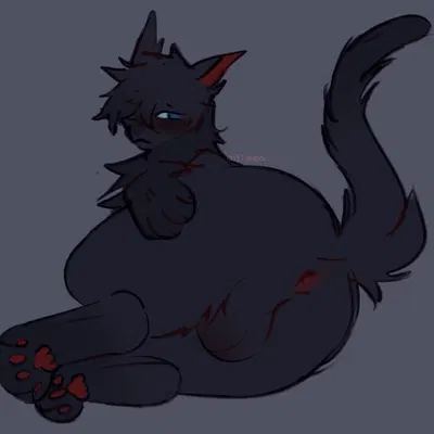 crowfeather (warriors) (warriors (book series)) created by gullswoop