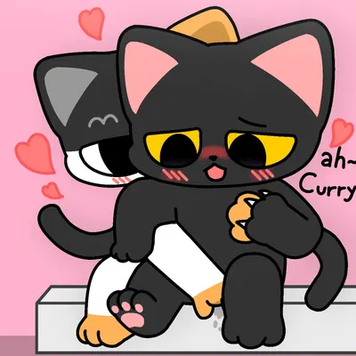 curry (ho salt), sig (ho salt (copyright)) created by pncholmeca100