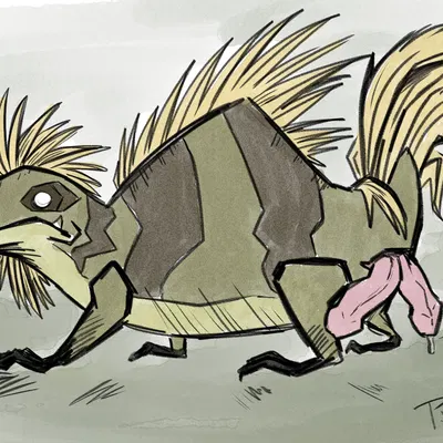 don't starve, klei entertainment created by p.v.su