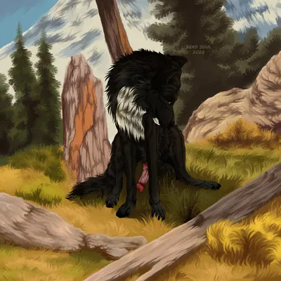 echo (wolffylegend) created by msdeadsoul