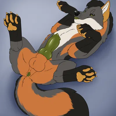 fin the fox created by killthe demon