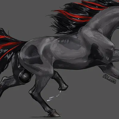 fionn (drakengarth) created by i-psilone