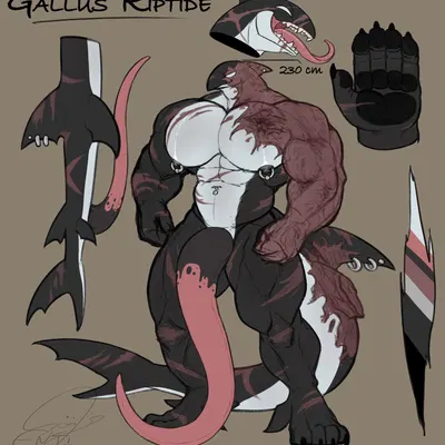 gallus riptide (entitropy) created by entitropy