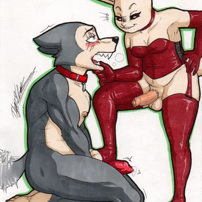 haru (beastars), legoshi (beastars) (beastars) created by rotten owl