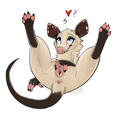 heather (over the hedge) (dreamworks, over the hedge) created by queenkoko