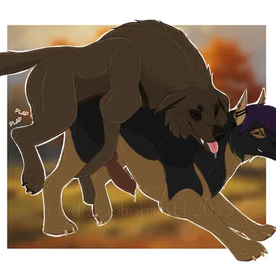 hed (hedonophobia h), quinton (qshep) created by hedonophobia h