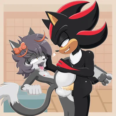 kazaki the cat, shadow the hedgehog (sega, sonic the hedgehog (series)) created by kirudi18