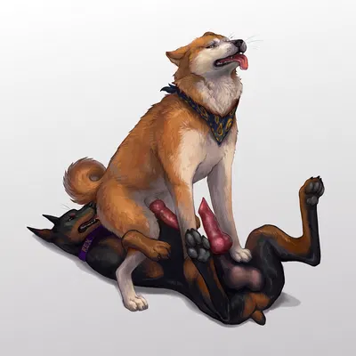 kenzo the akita inu, rex the dobermann created by danawolfin