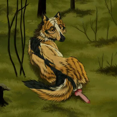 kiba wolfdog created by msdeadsoul