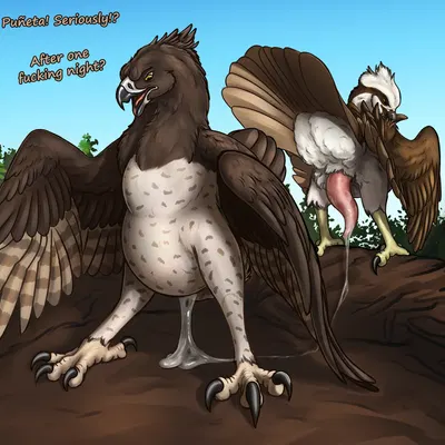 lurk (wingz31), rose (ferobird) created by ferobird