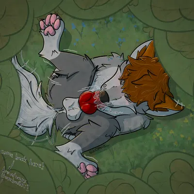 maxx (2001maxx) created by 2001maxx