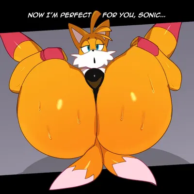 miles prower (sega, sonic the hedgehog (series)) created by paulpla