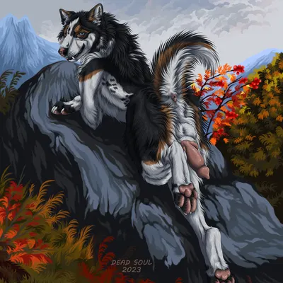 nava (nava) created by msdeadsoul