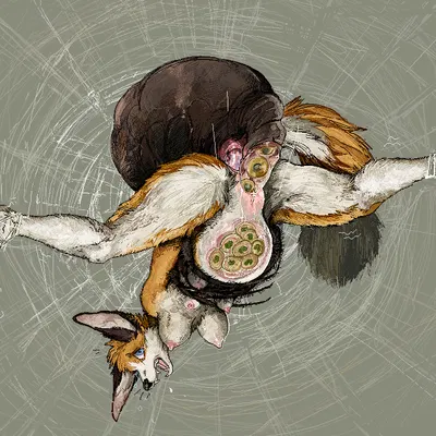 nella, web spider created by jeffusherb