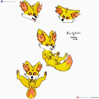 nintendo, patreon created by yordraw