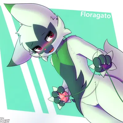 nintendo, pokemon created by senz