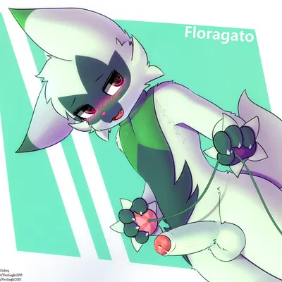 nintendo, pokemon created by senz