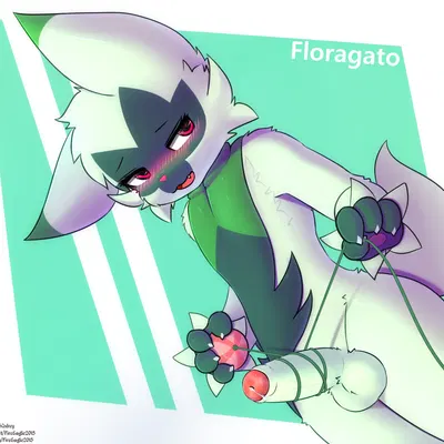 nintendo, pokemon created by senz