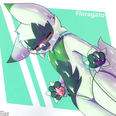 nintendo, pokemon created by senz