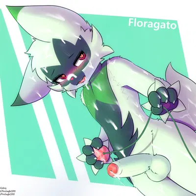 nintendo, pokemon created by senz