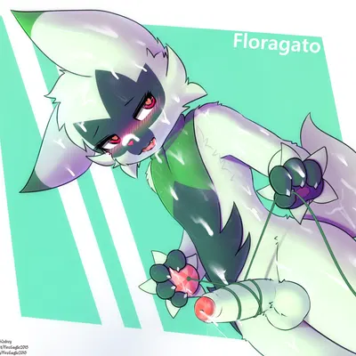 nintendo, pokemon created by senz