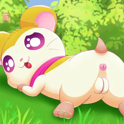 pashmina (hamtaro) (hamtaro (series)) created by hamtaroso