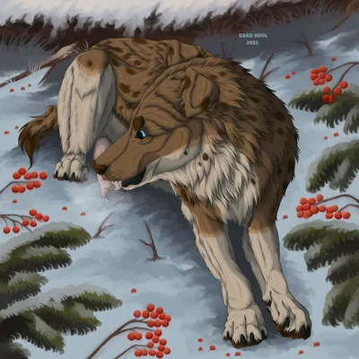 pepper (graceful k9) created by msdeadsoul