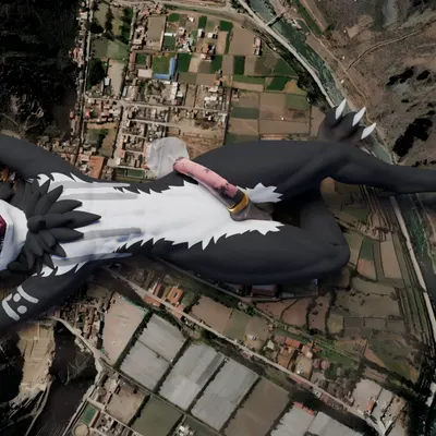 peq (peq42) created by peq42