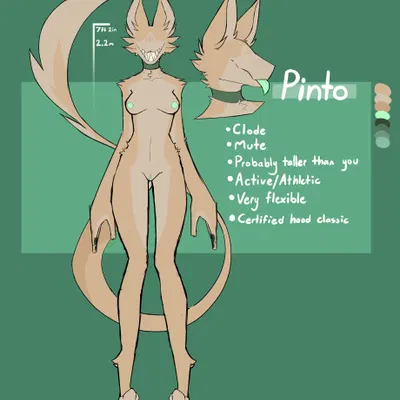 pinto (doughtea) created by coffaebeans