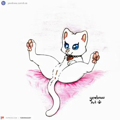 pussycat tiger (patreon) created by yordraw