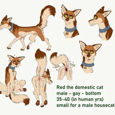 red (badfurgood) created by badfurgood