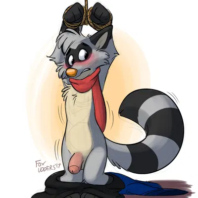 ringo raccoon created by orlandofox
