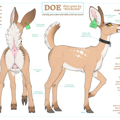 rosalina (ecmajor) created by ecmajor