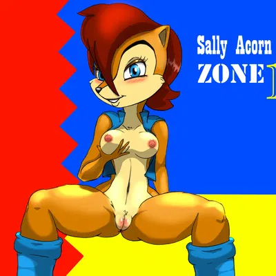 sally acorn (sega, sonic the hedgehog (series)) created by salaco