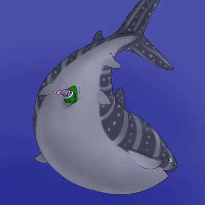 schallferin (orcinusproductions) created by gandere