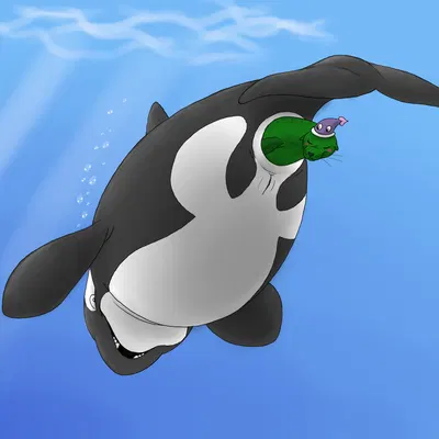 schallferin (orcinusproductions) created by gandere