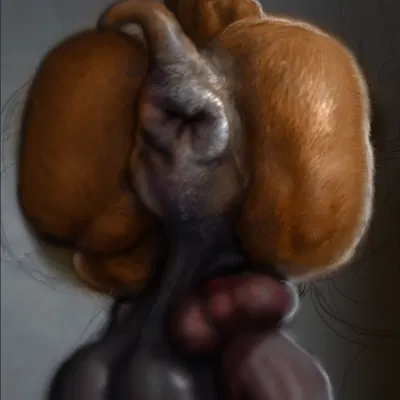 scooby-doo (hanna-barbera, scooby-doo (series)) created by hohohonse