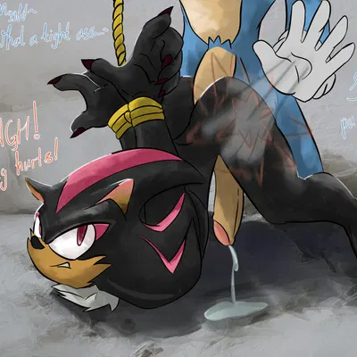 shadow the hedgehog, sonic the hedgehog (sega, sonic the hedgehog (series)) created by de volt