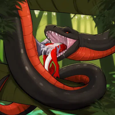 siader created by tallion