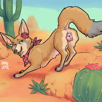 sierra (heliofox) created by hakudoge