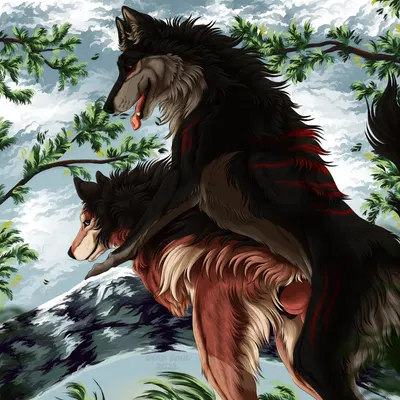 sitka created by msdeadsoul