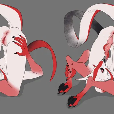 skwerna created by skwerna timido