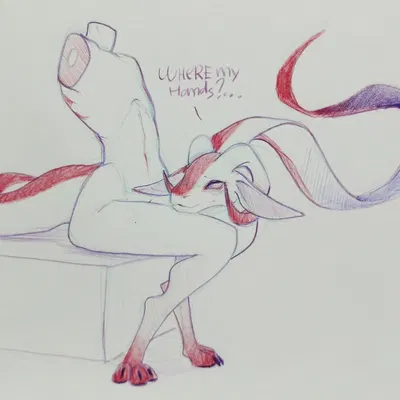 skwerna created by skwerna timido