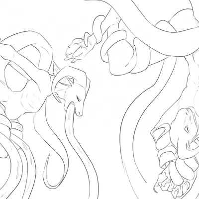 skwerna created by skwerna timido