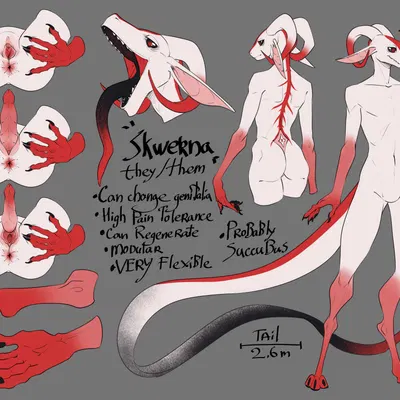 skwerna created by skwerna timido