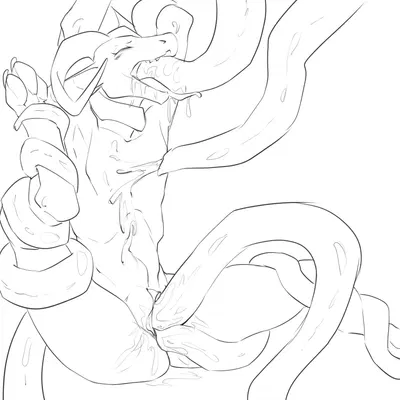 skwerna created by skwerna timido