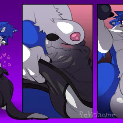 sockfox created by fetishame