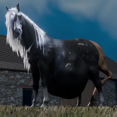 steadford (thehellfirehorse) created by thehellfirehorse